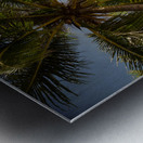 Tropical Sun Metal print