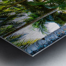 Jungle Paradise Sunshine Metal print