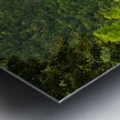 Emerald Veil of Negros Metal print