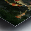 Koi Dance Twilight Metal print