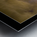 Gods Country  Metal print