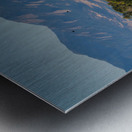 Boulder Flatirons and Cows Metal print