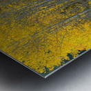 That  Morning Autumn Light Metal print