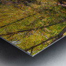 Reflections Time Metal print