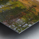 Upstream St Vrain Metal print