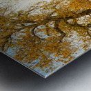 Glory Glory Metal print