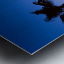 Palm Shadows Dancing in the Colors of Dusk Metal print