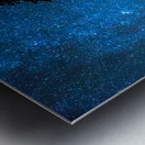 Pinnacle Of The Forest  Metal print