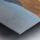 Deer And The Great Colorado Sand Dunes Metal print