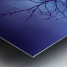 Purple Rain Over Boulder County Colorado Metal print