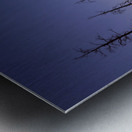 Yellowstone National Park wildfire aftermath Metal print