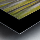 Aspen Splendor Triptych Abstract Landscape Dreaming Collage Metal print