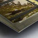 Golden Reflections Mountain Window View Fine Art Landscape Metal print