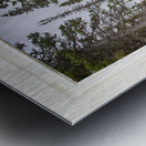 Colorado Rocky Mountain Stream White Rustic Window View Metal print