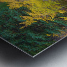 Colorado Autumn Creek Happy Place Panoramic Metal print
