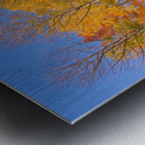 colorful colorado autumn  Metal print