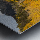 Easy Autumn Rider Metal print