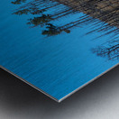 Forest Evolution Metal print