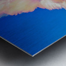 High Elevation Forest Sunset Sky Timed Stack Metal print