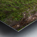 Mountain Stream Metal print