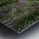 Rocky Mountain Stream Metal print