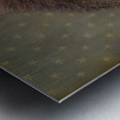 American Bison Profile Metal print