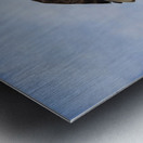 fish anyone Metal print