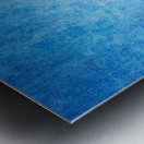 Bald Eagle Blues Metal print