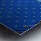 American Bald Eagle 3 Metal print