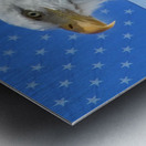 American Eagle 2 Metal print