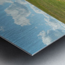 Longhorn Cattle and Devils Tower Metal print