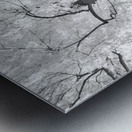 Monochrome Tree Art -  Majestic Trunk and Leaves in Fine Detail Impression metal