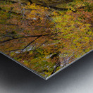 Autumns Country Retreat - A Canopy of Color Impression metal