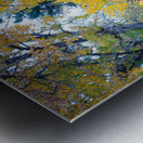 Autumns Harvest Market - A Portrait of Country Charm Metal print