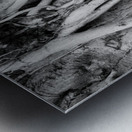 Tropical Tree Vibes Metal print