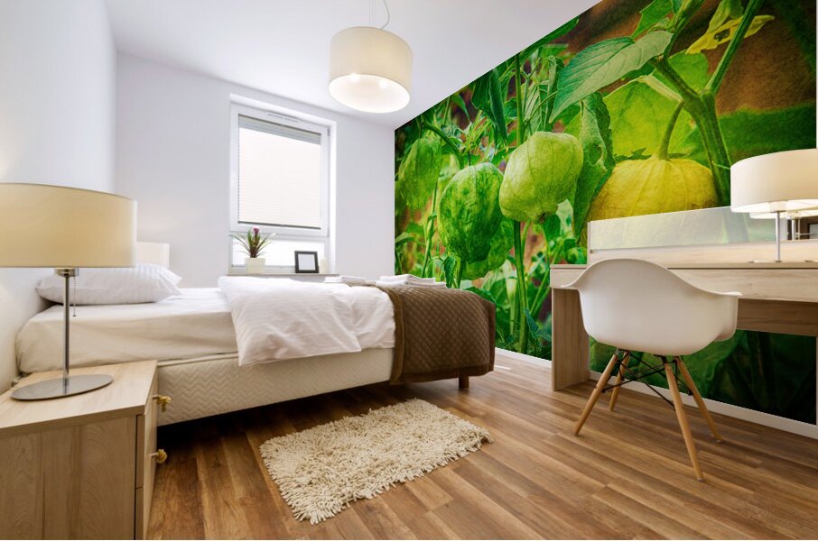 Tomatillos  Mural print