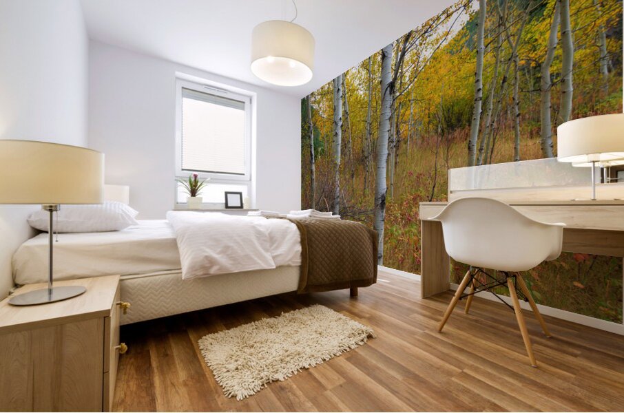 Soothing Forest Mural print