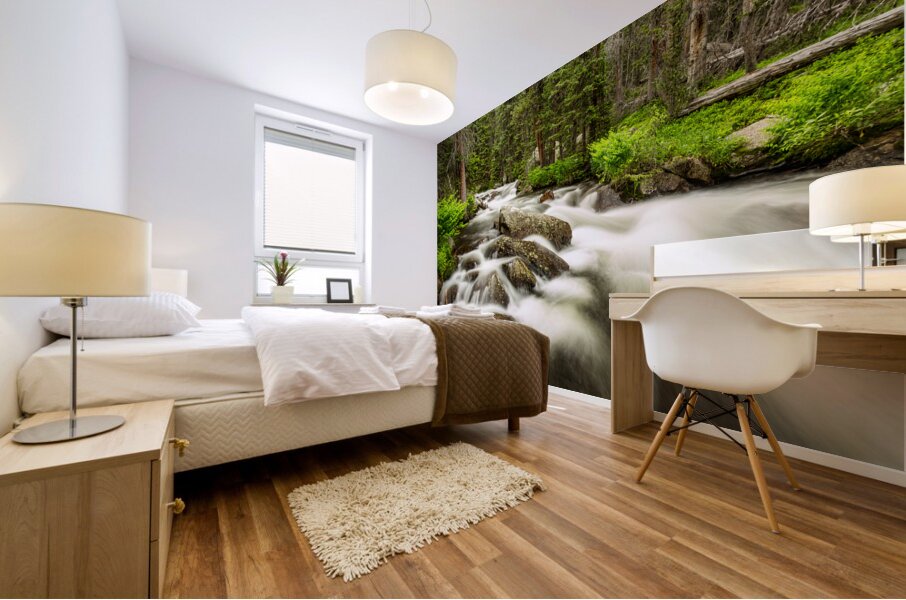 Roosevelt National Forest Stream Mural print