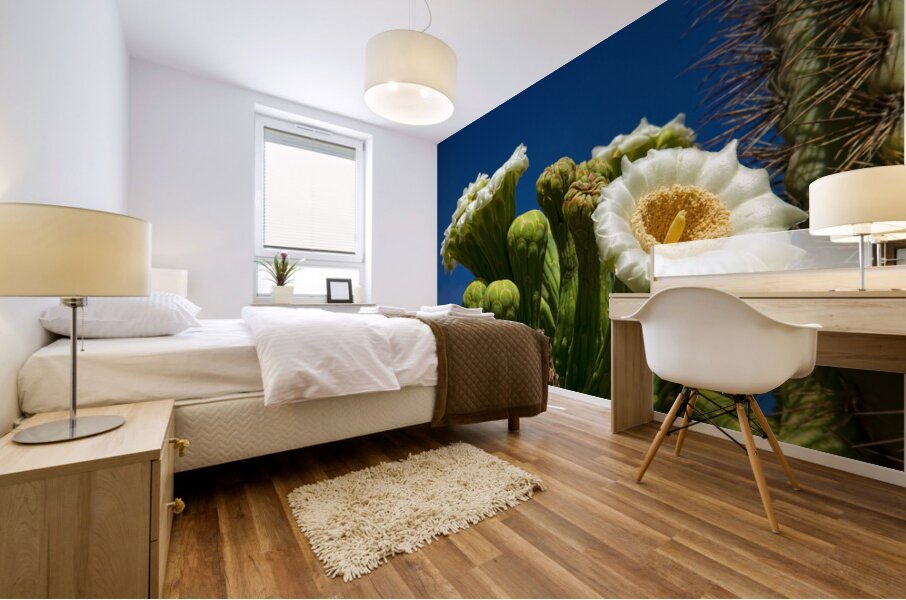 Saguaro Cactus Blooms Mural print