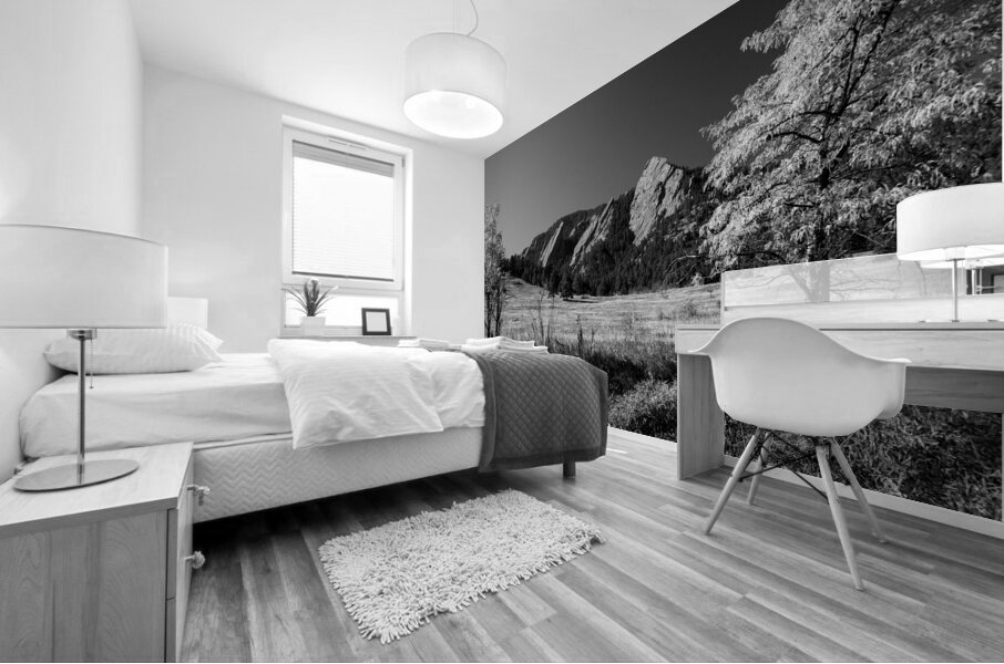 Boulder Colorado in Black and White Mural print