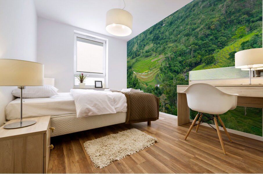 Mountain Rice Fields of Negros Island Emerald Tranquility Mural print