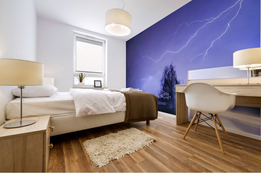 Ghost Rider Mural print