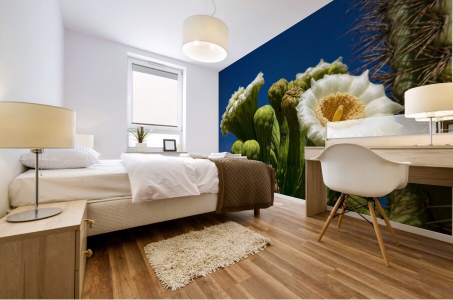 Saguaro Cactus Blooms Mural print