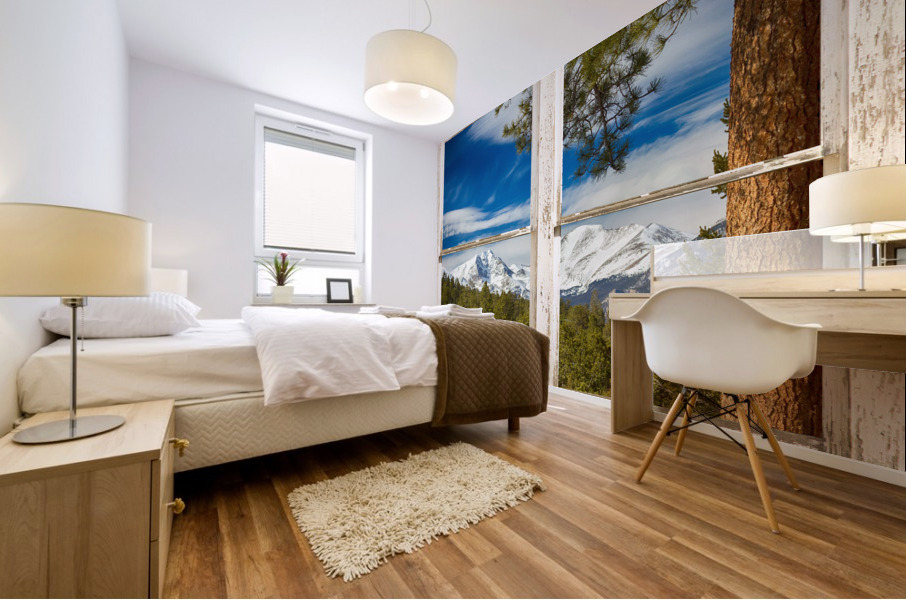 Colorado Rocky Mountain Rustic Window View Mural print