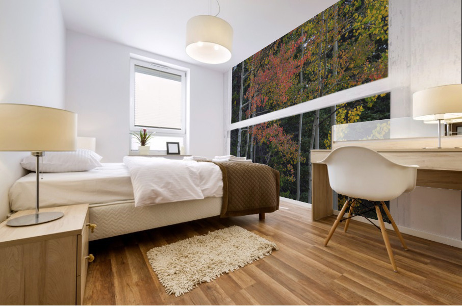 Aspen Forest Red Rustic Window View Mural print