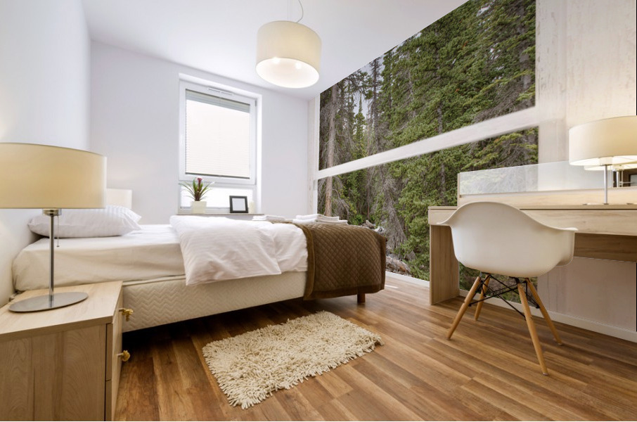 Rocky Mountain Stream White Rustic Window Mural print