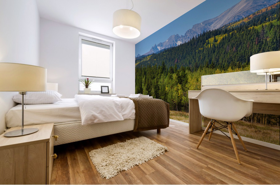 Colorado Indian Peaks Panorama 1 Mural print