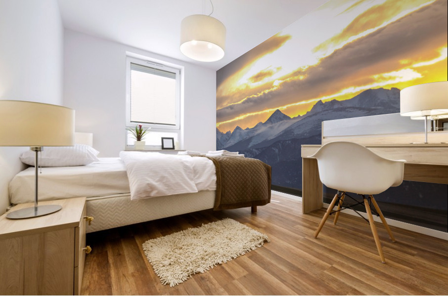 Colorado Front Range Panorama Gold Mural print