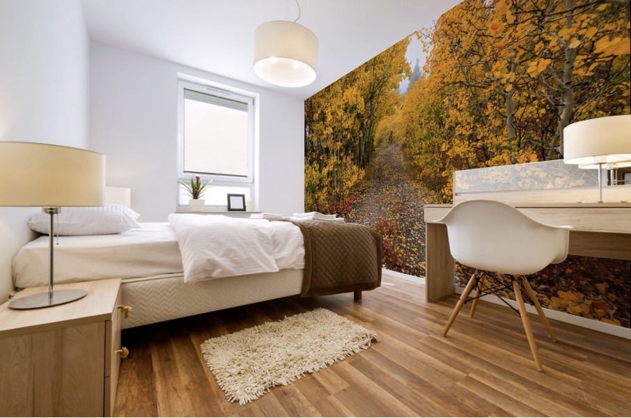 Colorful Autumn Hiking Path Mural print