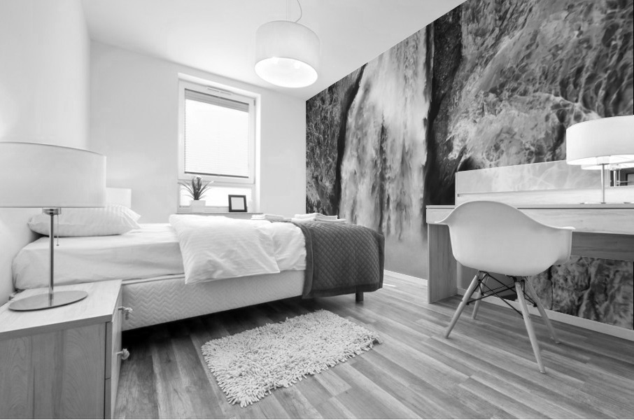 Upper Yellowstone Falls Black White Mural print